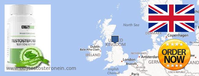 شراء Testosterone على الانترنت United Kingdom حيث لشراء Testosterone على الانترنت United Kingdom
